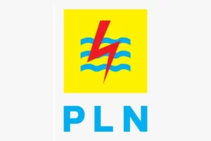 Logo-PLN-1746019427